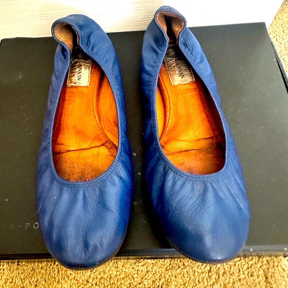 Lanvin Ballet Flats - gently worn, fits like a 10